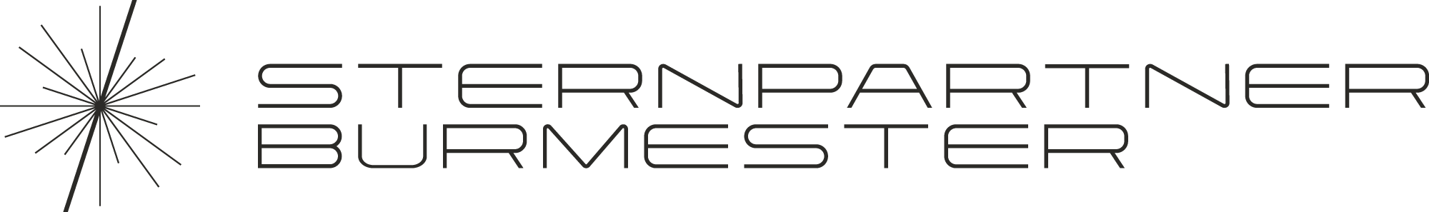 Logo STERNPARTNER SE & Co. KG